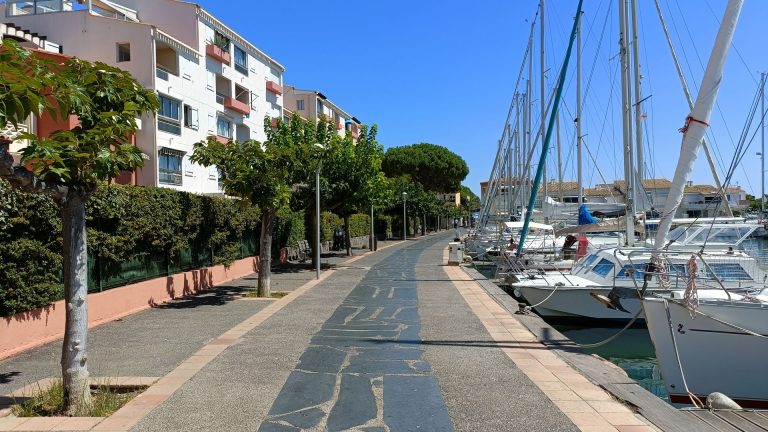 Que faire à Sanary-sur-Mer : activités et visites incontournables