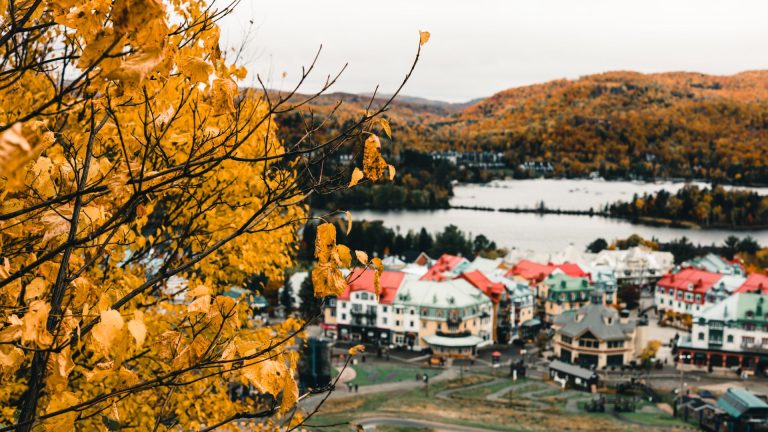 Québec en octobre : que voir et faire pendant votre séjour ?