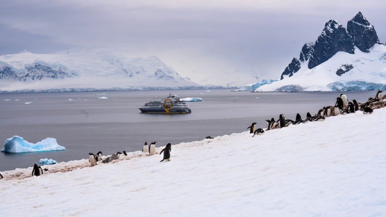 Quelle est la meilleure saison pour une croisière en Antarctique ?